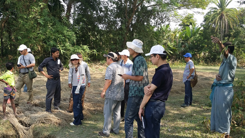 公司援孟八桥现场考察工作圆满完成